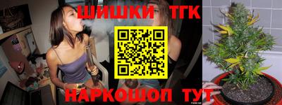 тгк Будённовск
