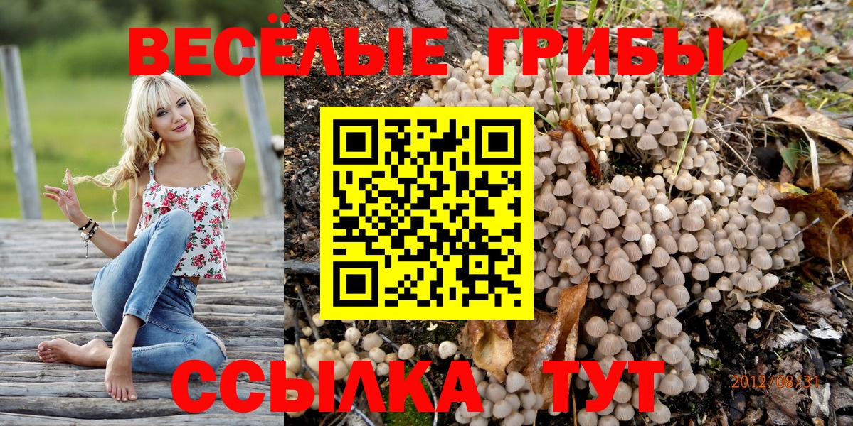 Нефтекамск  Галлюциногенные грибы Psilocybine cubensis  Вход с VPN 