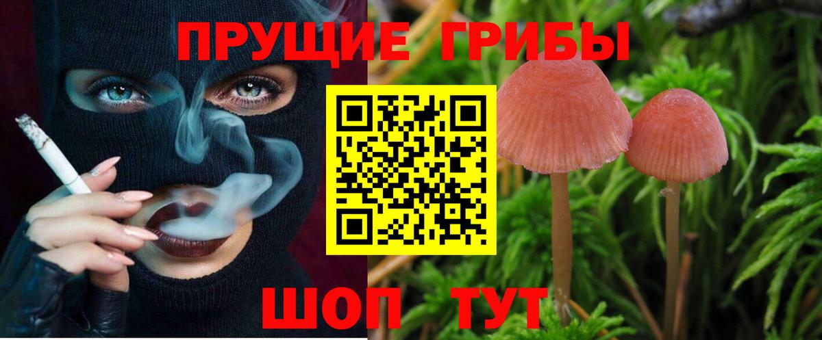 Псилоцибиновые грибы прущие грибы Нефтекамск